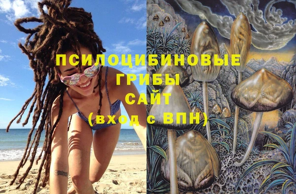 прущая мука Горно-Алтайск
