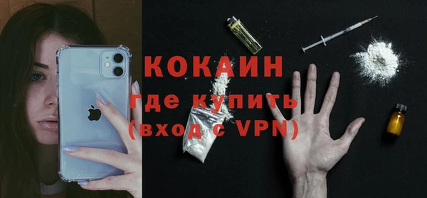 тгк Гусев