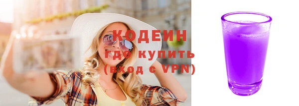 тгк Гусев