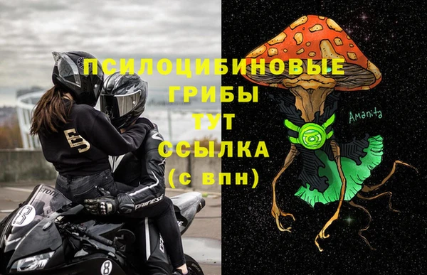 СК Вяземский
