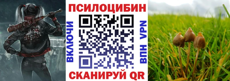 Галлюциногенные грибы прущие грибы Купить закладки Новое Девяткино